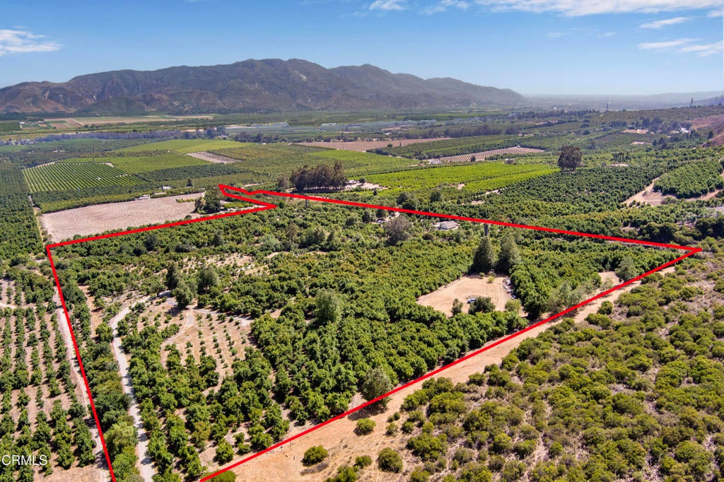 Photo of Listing #V1-30770