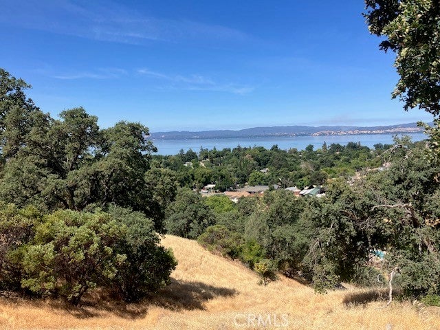 Photo of Listing #LC25142478