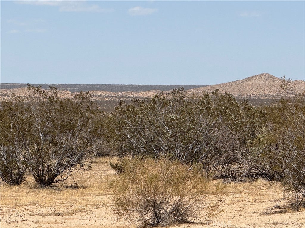 Photo of Listing #SR25142742