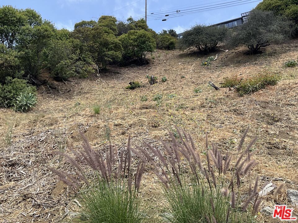 Photo of Listing #25557229