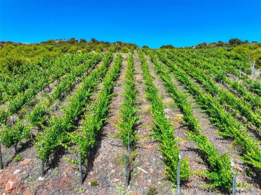 Photo of Listing #ND25141661