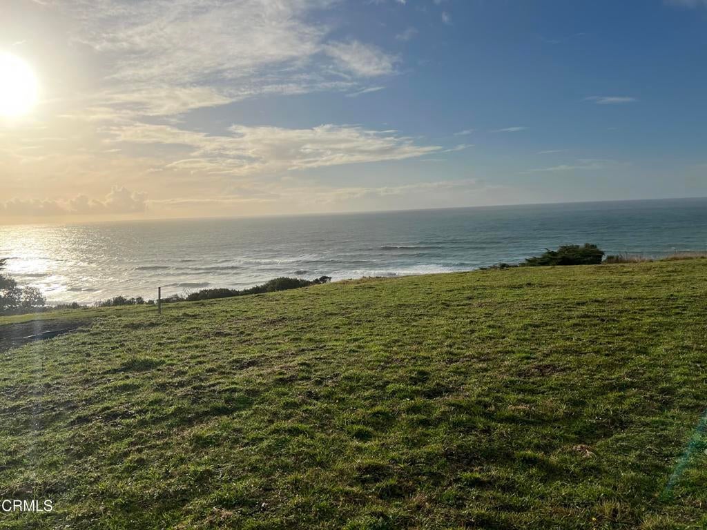 Photo of Listing #C1-11059