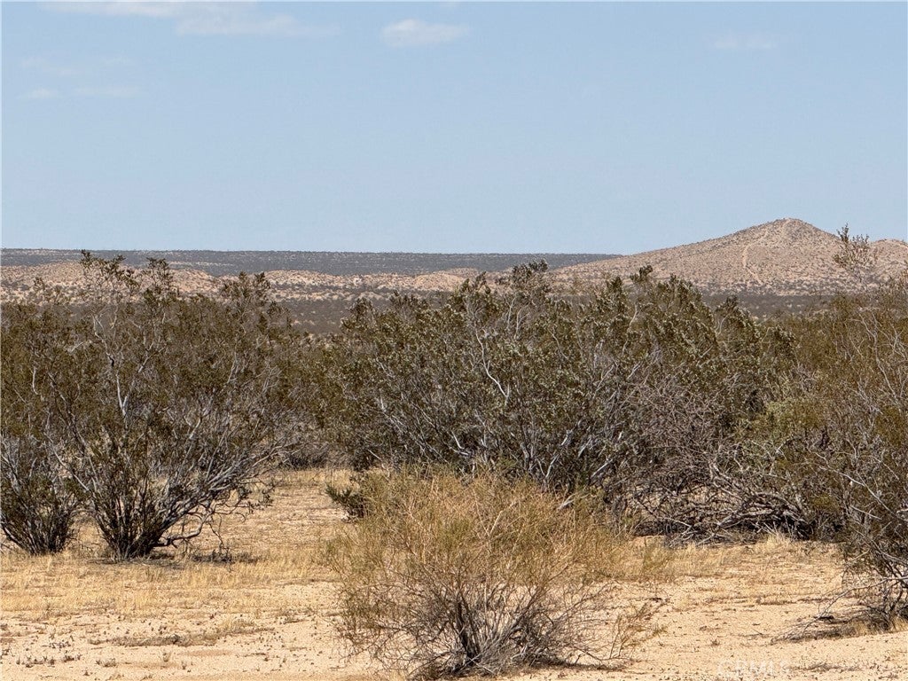 Photo of Listing #SR25143026