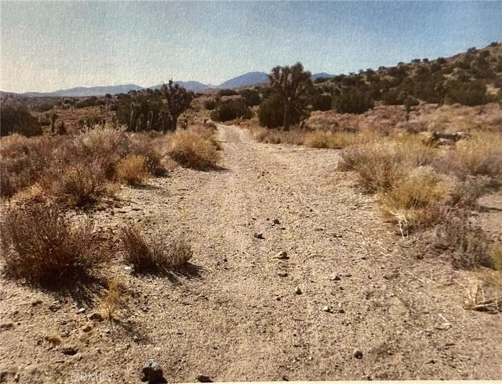 Photo of Listing #SR25143538