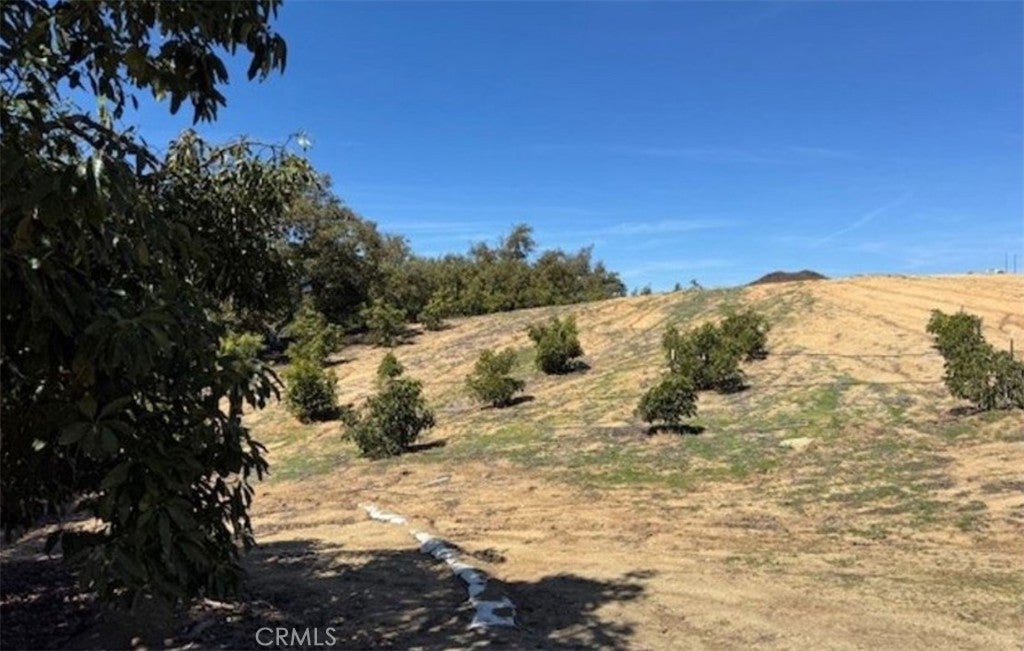 Photo of Listing #TR25144098