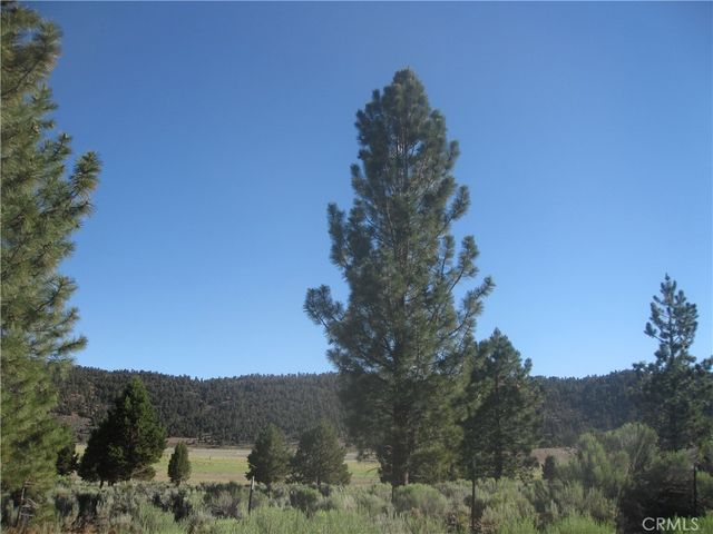 2805 Cedar Lane, Big Bear City