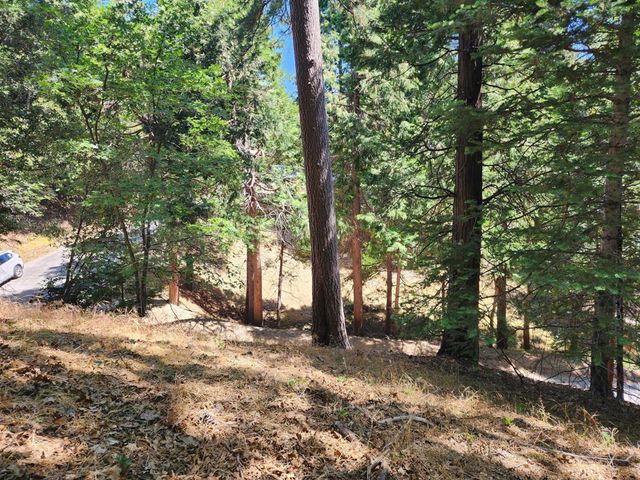 Edelweiss Drive, Crestline