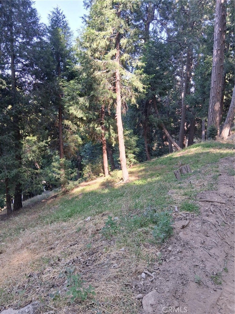 Photo of Listing #IG25141931