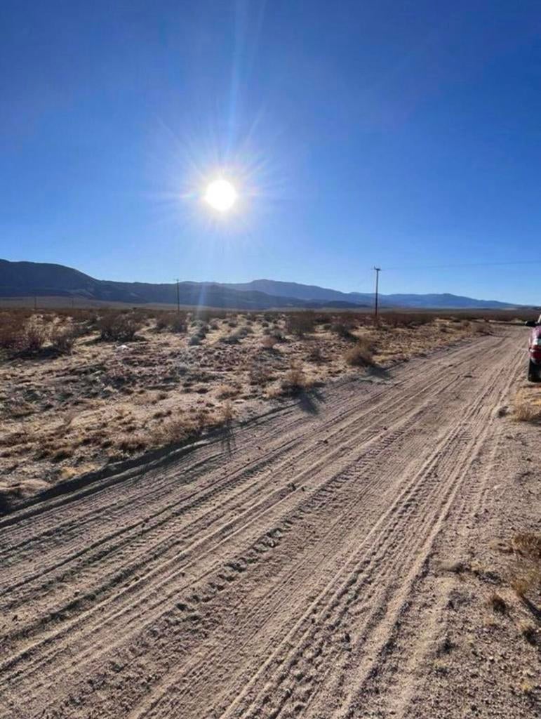 Photo of Listing #219132096DA