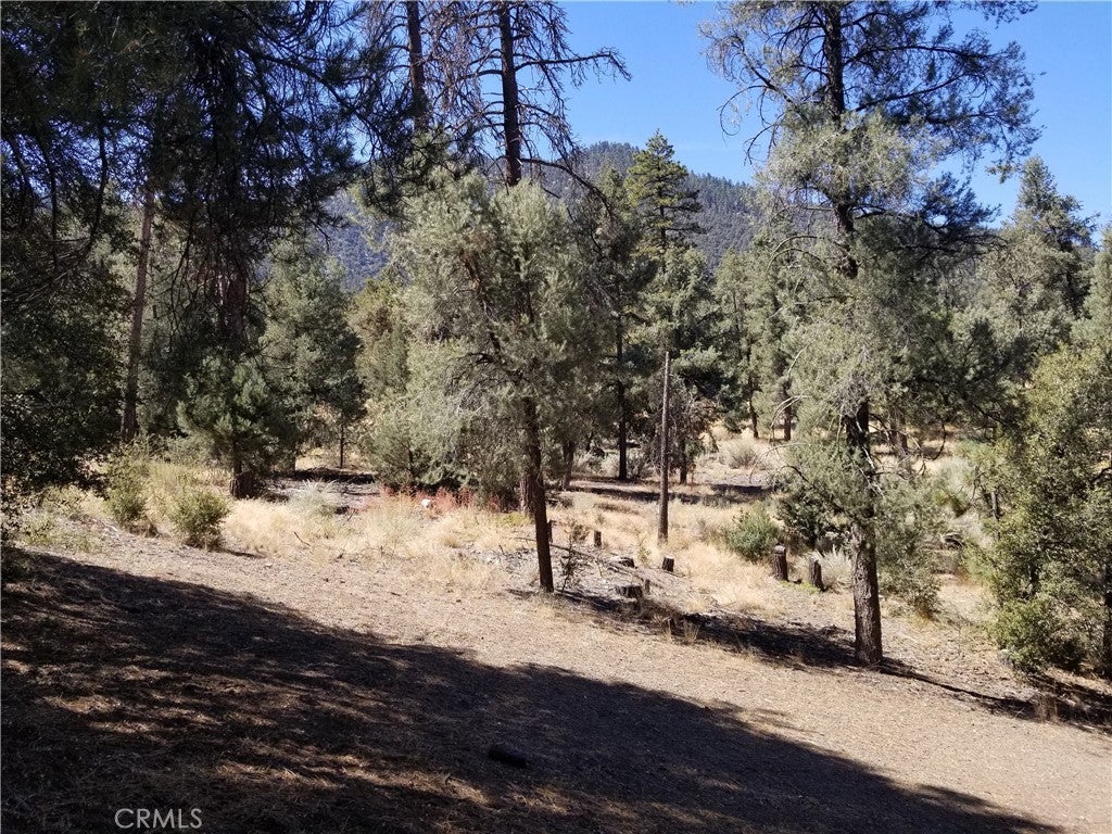 Photo of Listing #SR25142049