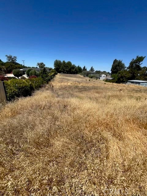 Photo of Listing #CV25146335