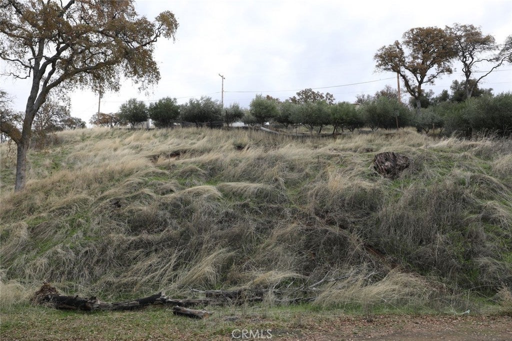 Photo of Listing #LC25106896