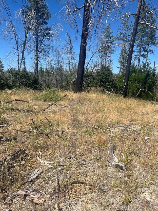 122 Simpson Ranch Road, Berry Creek