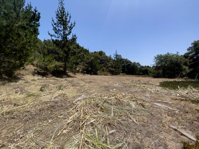 58 Desmond Road, Salinas
