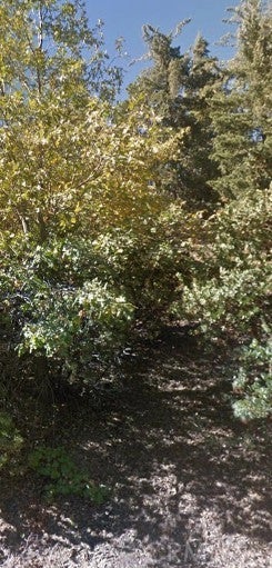 Photo of Listing #SB25148445