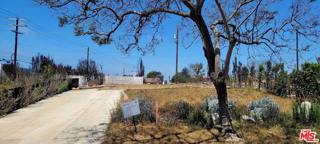 Photo of Listing #25559701