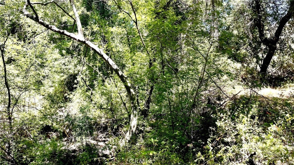 Photo of Listing #OC25147677