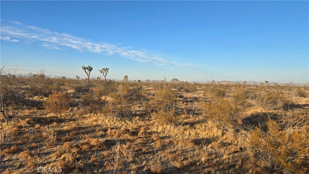 Photo of Listing #SR25151837