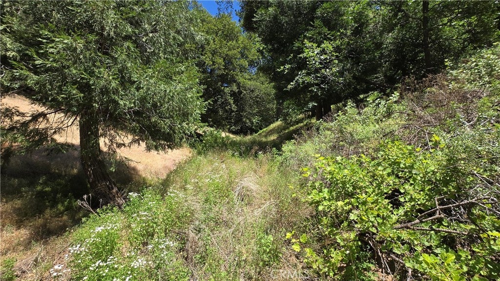 Photo of Listing #IG25152965