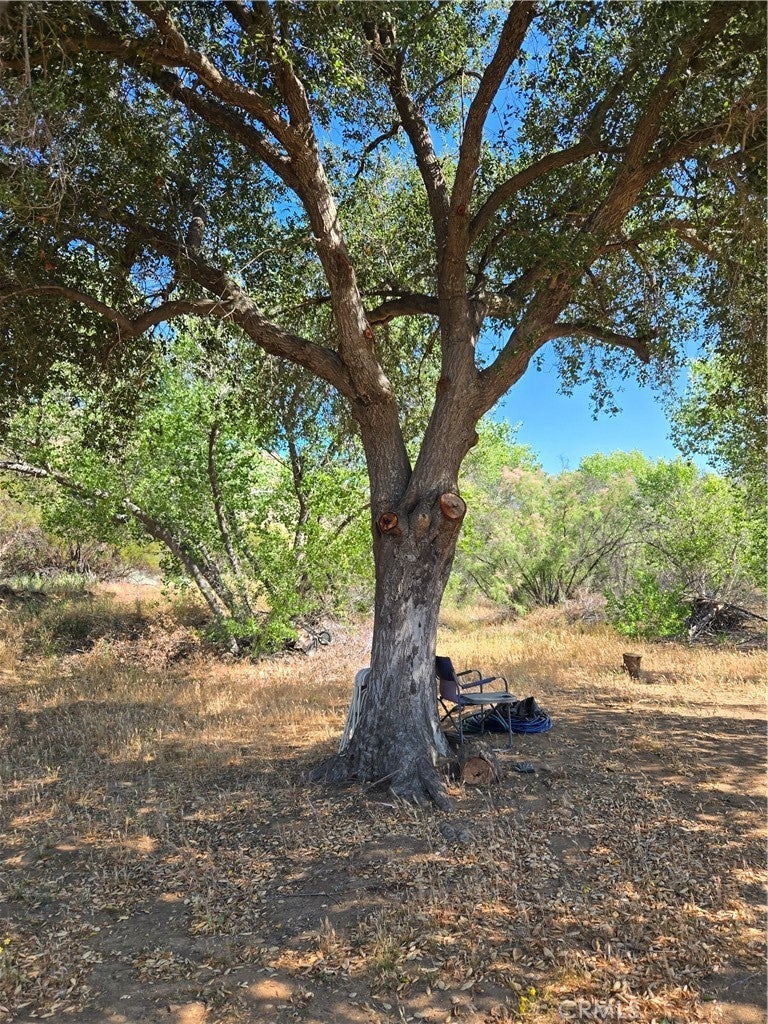 Photo of Listing #IG25152669