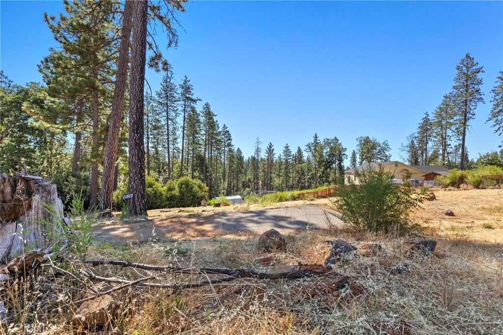 Photo of Listing #PA25141124