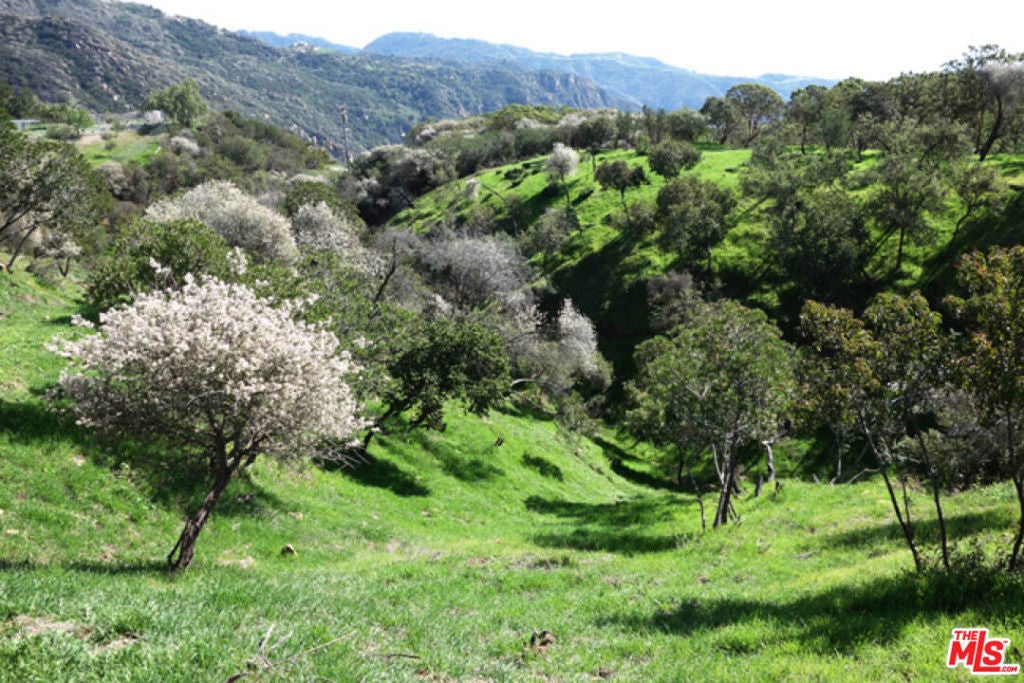 Photo of Listing #25562089