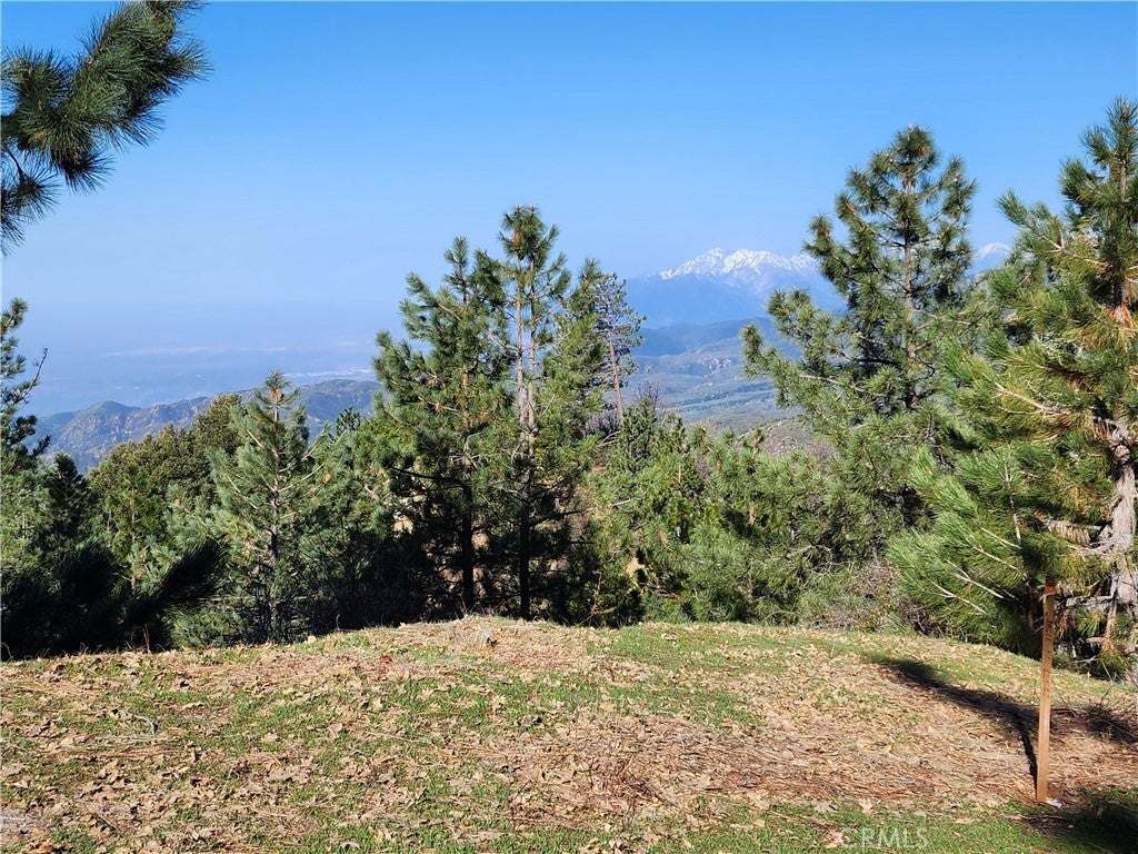 Photo of Listing #IG25154354