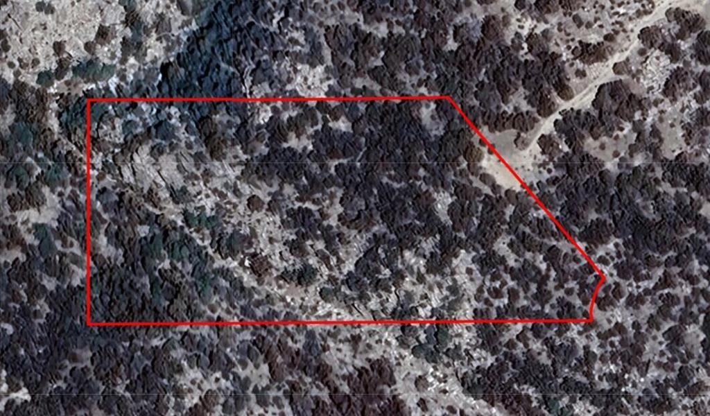 Photo of Listing #219132549DA