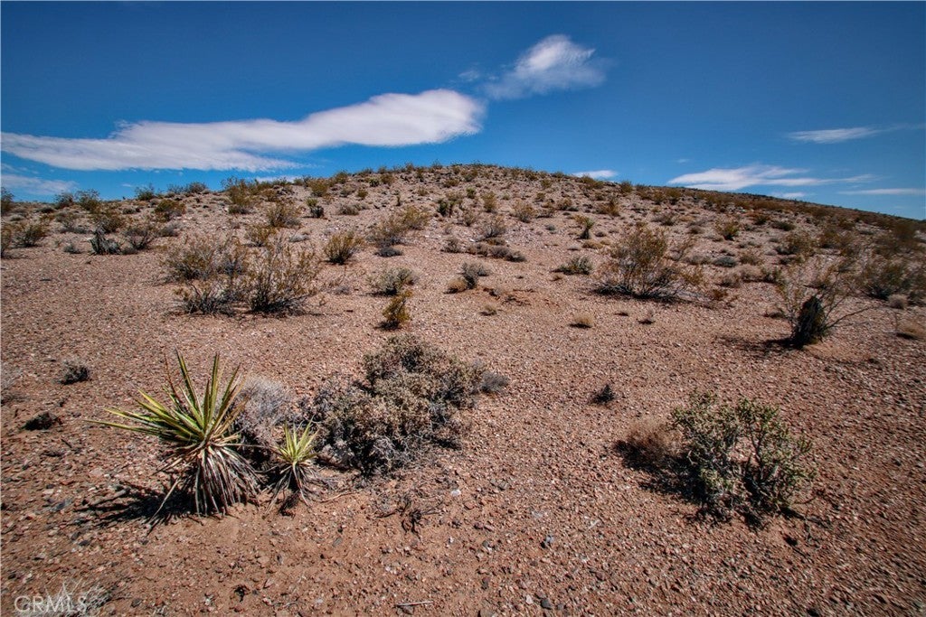 Photo of Listing #JT25155629