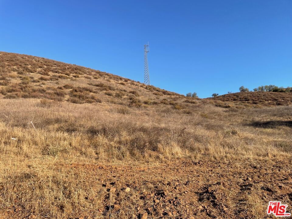 Photo of Listing #25563907