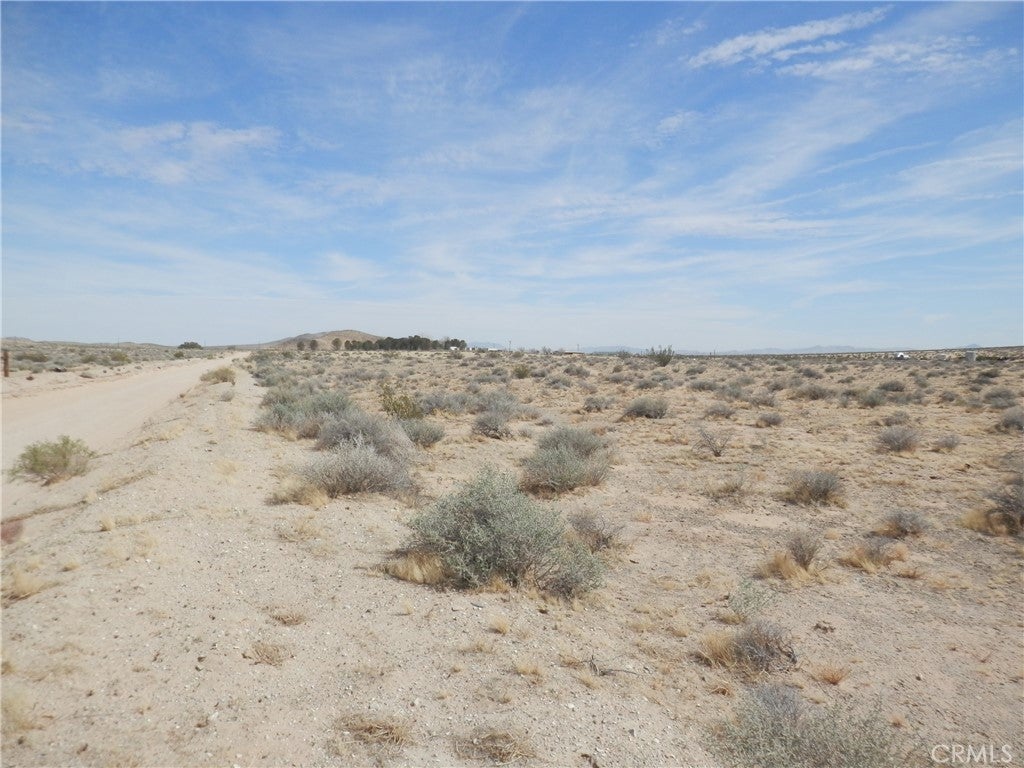 Photo of Listing #PW25155941