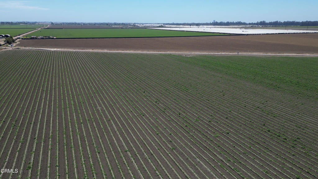 Photo of Listing #V1-31082