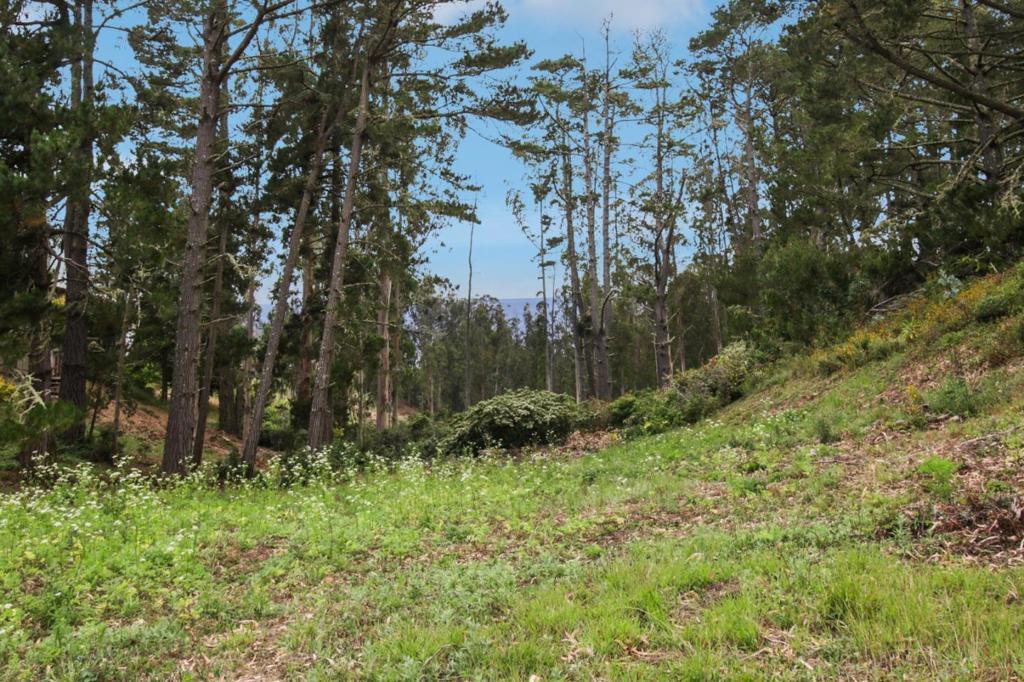 Photo of Listing #ML82014385