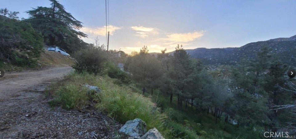 Photo of Listing #SR25157035