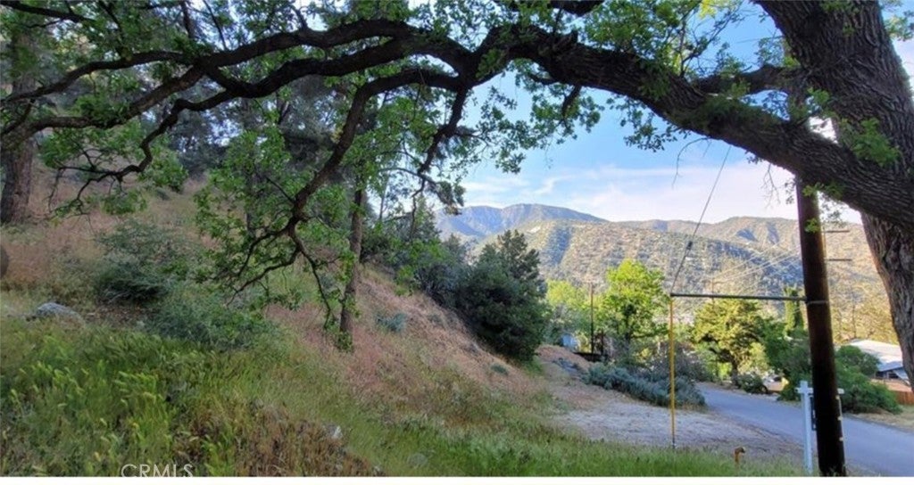 Photo of Listing #SR25157032