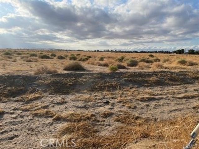 20th, Rosamond