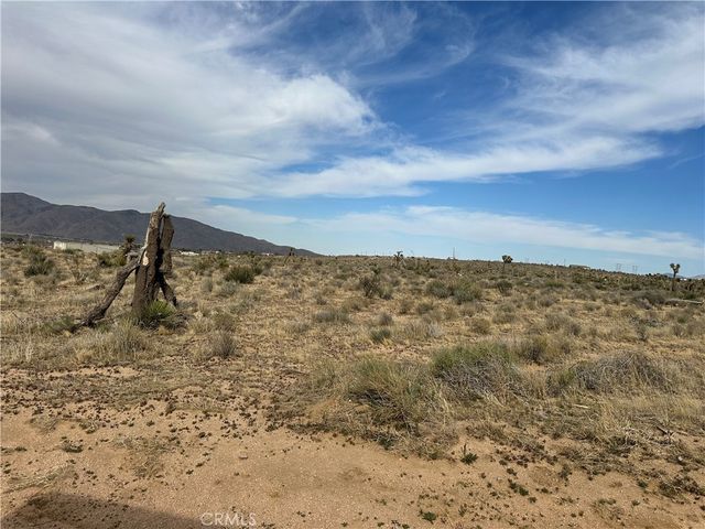 Joshua Road, Apple Valley