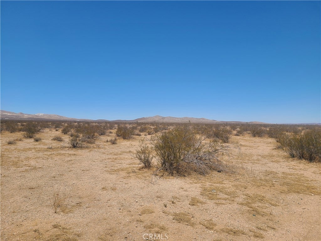 Photo of Listing #IV25158281