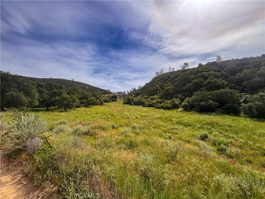 Photo of Listing #NS25158351