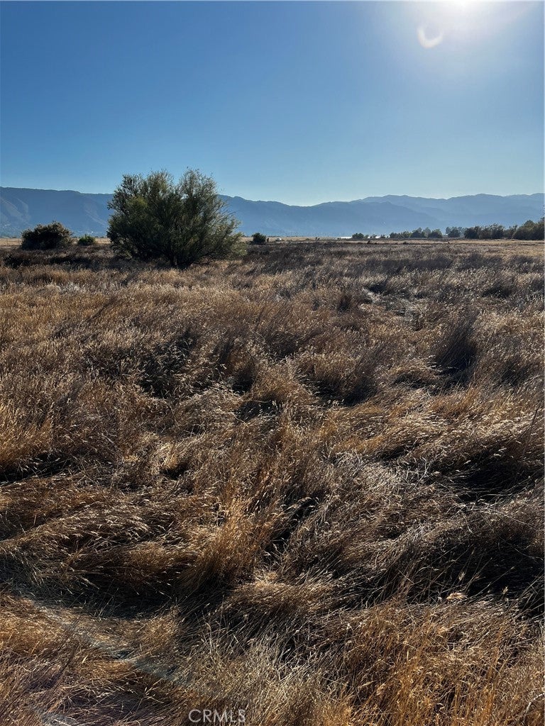 Photo of Listing #IV25160540