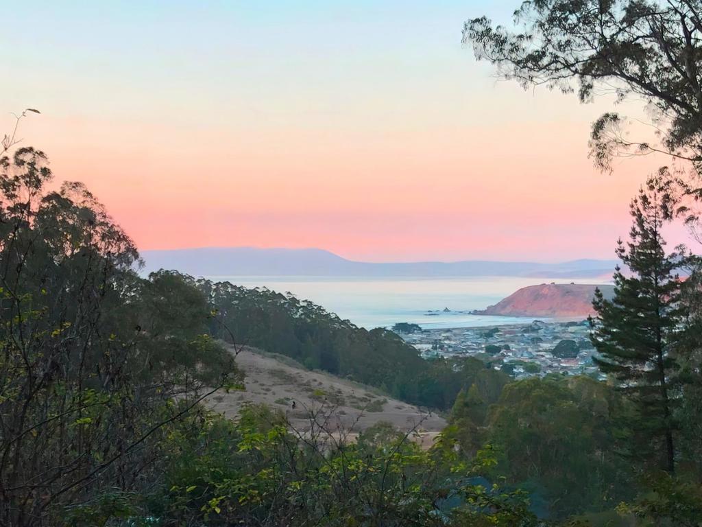 Photo of Listing #ML82014911