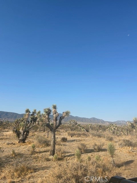 Photo of Listing #HD25156768