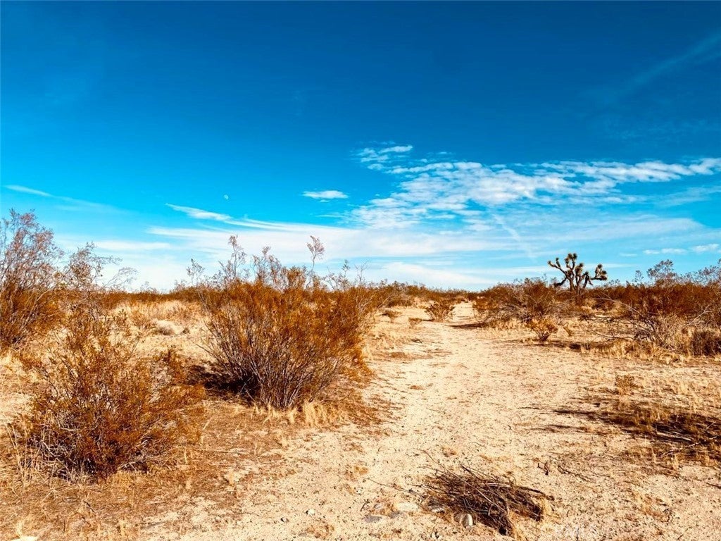 Photo of Listing #SR25161101