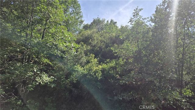 Elder Drive, Cedar Glen