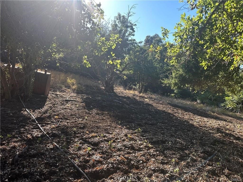 Paradise Lane, Topanga