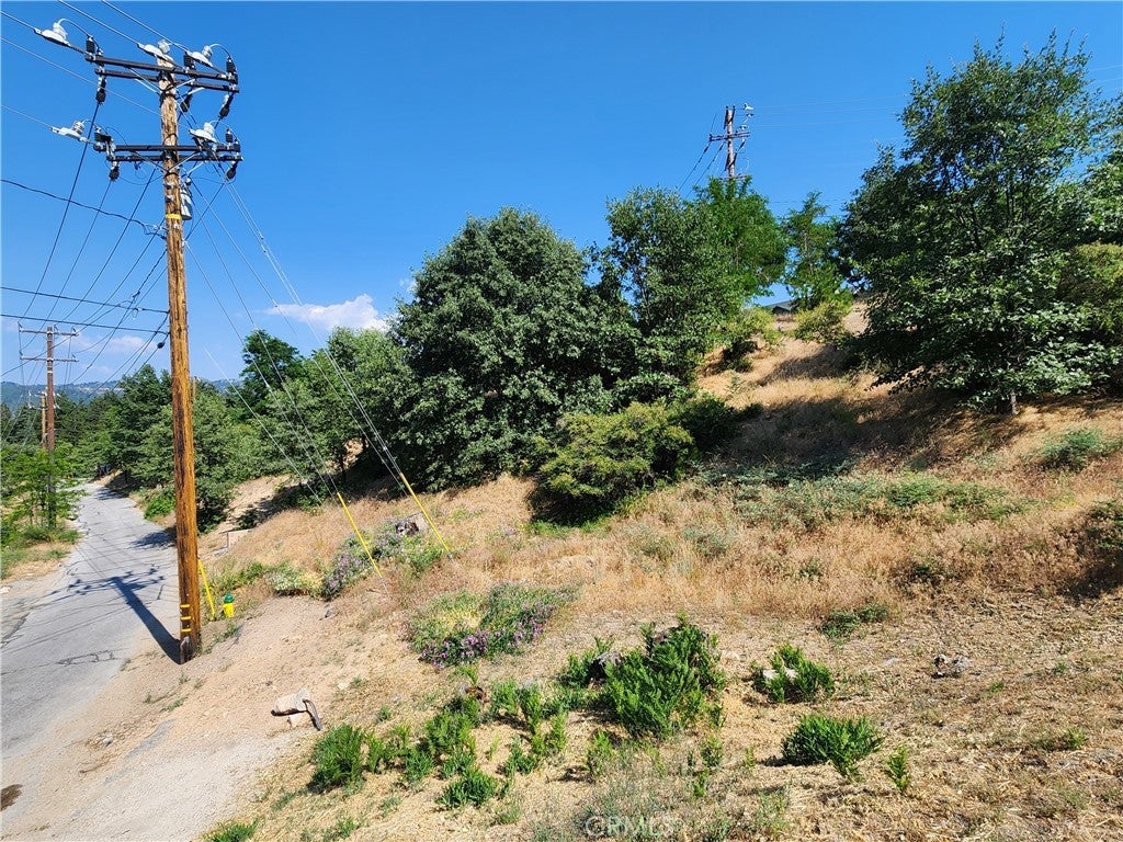 Photo of Listing #IG25161607