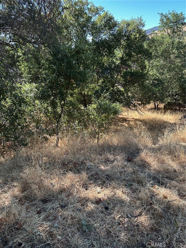 Photo of Listing #LC25161836