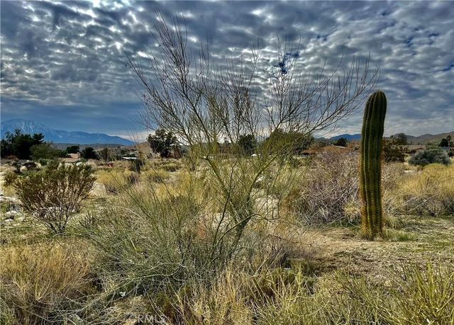 11040 Mescalero Avenue, Morongo Valley