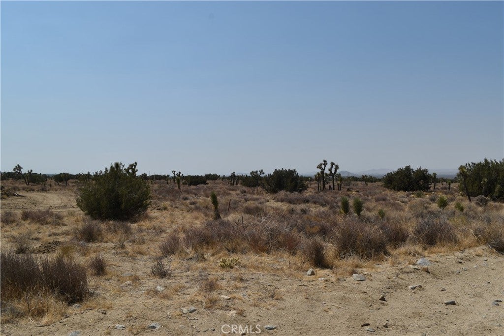 Photo of Listing #IV25163346