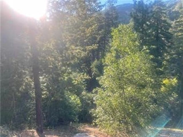 Elder Drive, Cedar Glen
